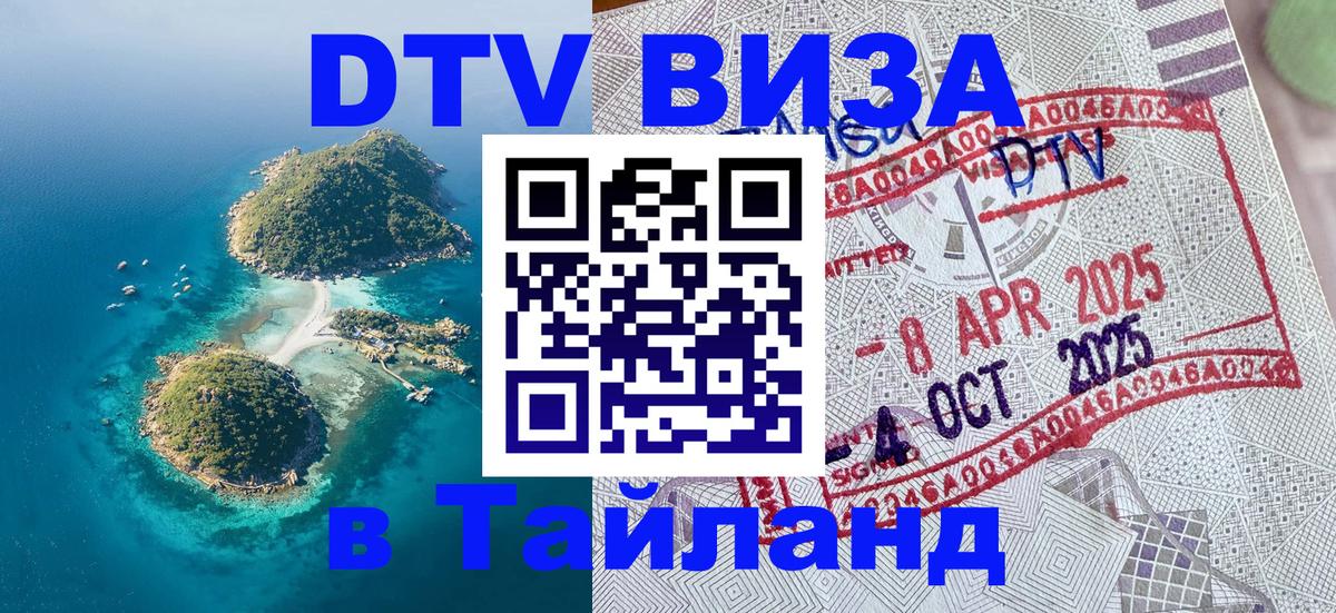 Оформление DTV визы под ключ: стоимость и тарифы, только загранпаспорт - 